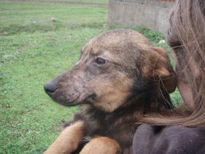 Прикачена снимка