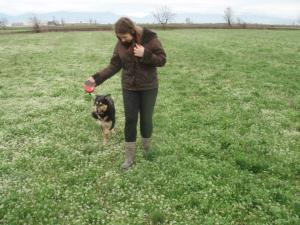 Прикачена снимка