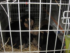 Прикачена снимка