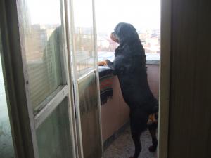 Прикачена снимка