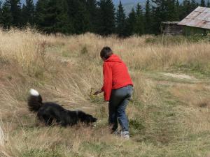 Прикачена снимка