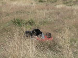 Прикачена снимка