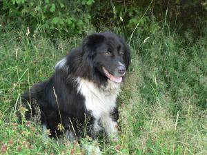 Прикачена снимка