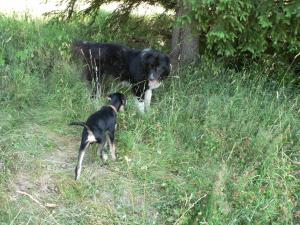 Прикачена снимка