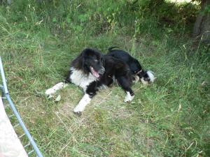 Прикачена снимка