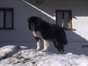 Прикачена снимка