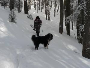 Прикачена снимка