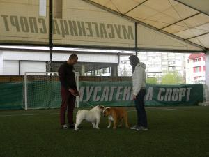 Прикачена снимка