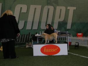 Прикачена снимка