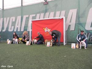 Прикачена снимка