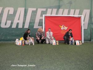 Прикачена снимка