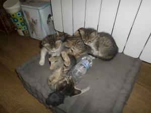 Прикачена снимка