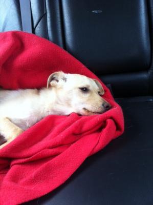 Прикачена снимка