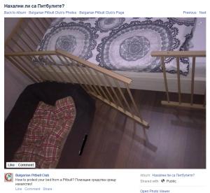 Прикачена снимка