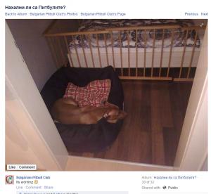 Прикачена снимка