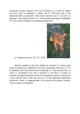 Прикачена снимка