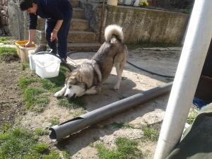 Прикачена снимка