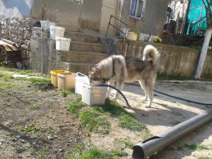Прикачена снимка