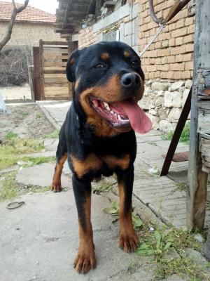 Прикачена снимка