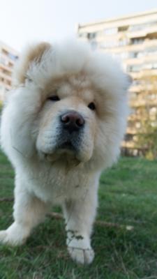 Прикачена снимка