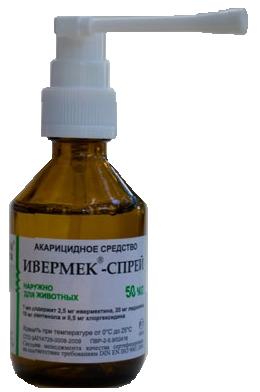 Прикачена снимка