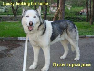 Прикачена снимка