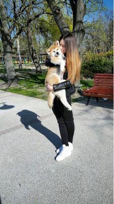 Прикачена снимка