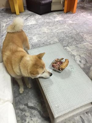 Прикачена снимка