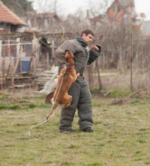 Прикачена снимка
