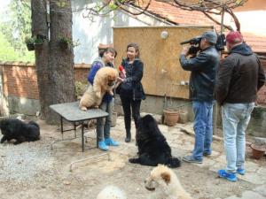 Прикачена снимка