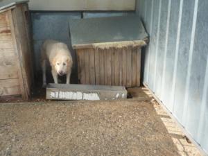Прикачена снимка