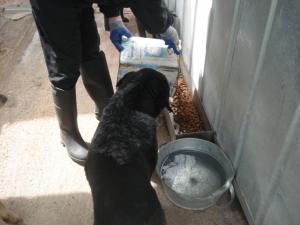 Прикачена снимка