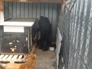 Прикачена снимка