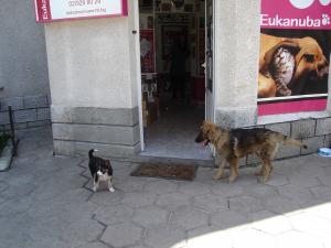 Прикачена снимка