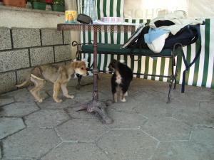 Прикачена снимка