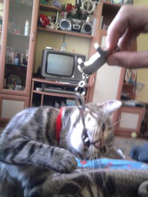 Прикачена снимка