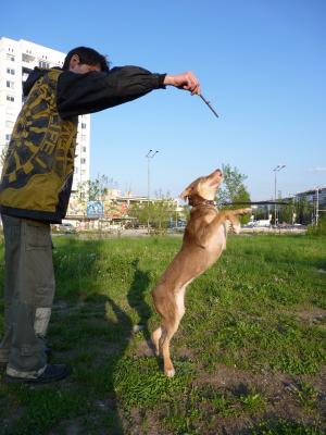 Прикачена снимка
