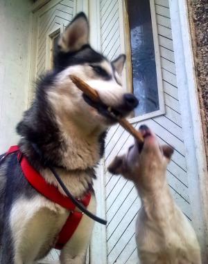 Прикачена снимка