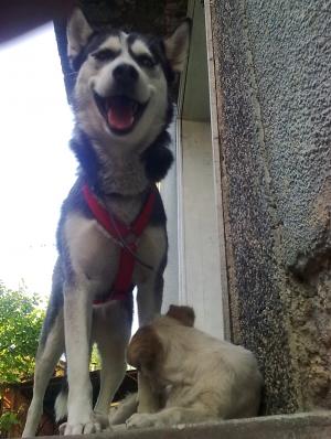 Прикачена снимка