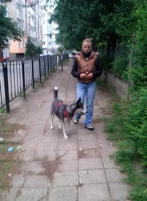 Прикачена снимка