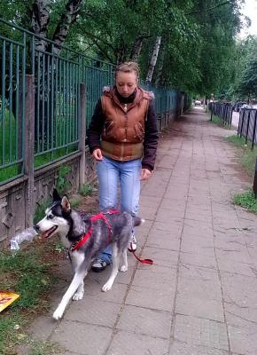 Прикачена снимка
