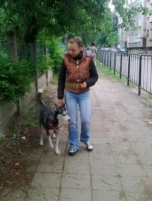 Прикачена снимка