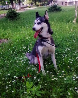 Прикачена снимка