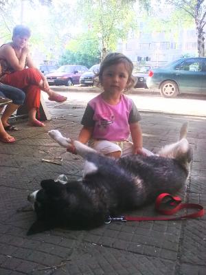 Прикачена снимка