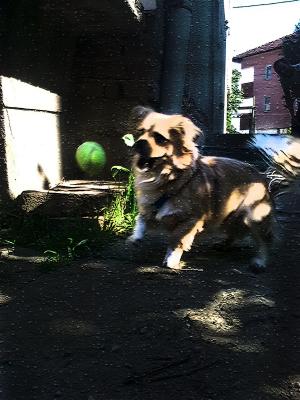 Прикачена снимка