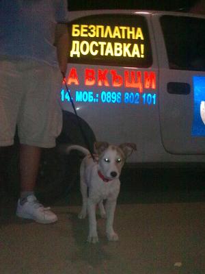 Прикачена снимка
