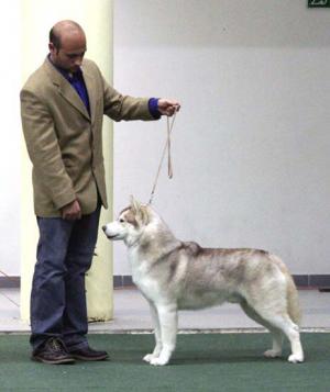 Прикачена снимка