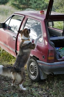 Прикачена снимка