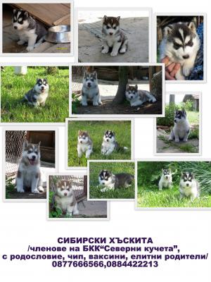 Прикачена снимка