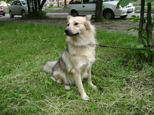 Прикачена снимка